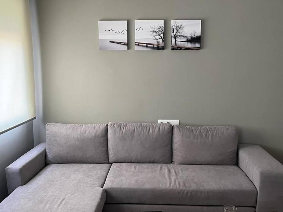 Apartamentos Camino A Ribeira Quiroga Екстериор снимка